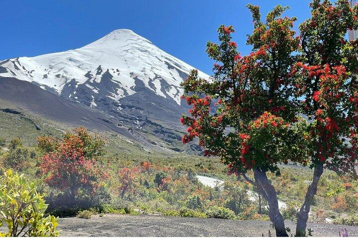 Osorno Volcano & National Park for Cruisers - PRIVATE