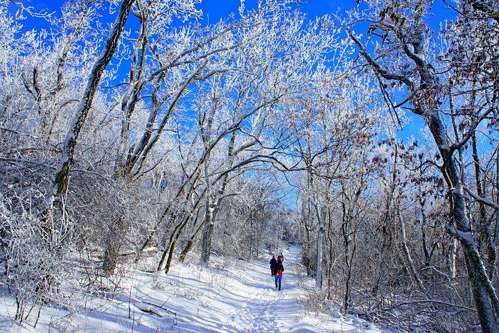 Hiking in Budapest