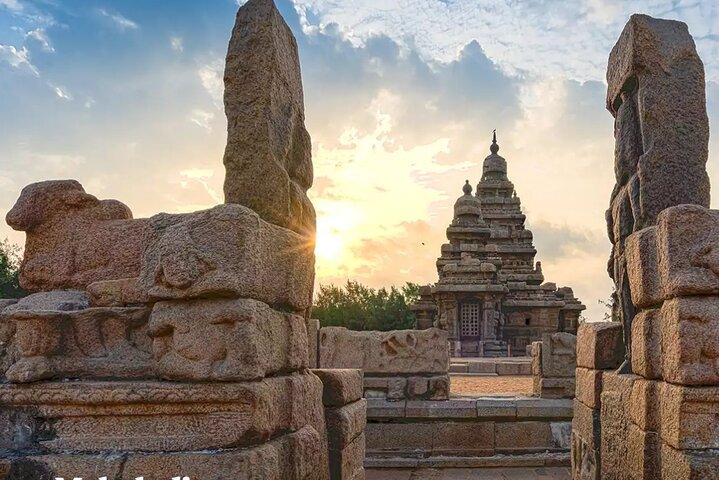Klassisk Tamilnadu & Kerala 14 dages tur fra Chennai