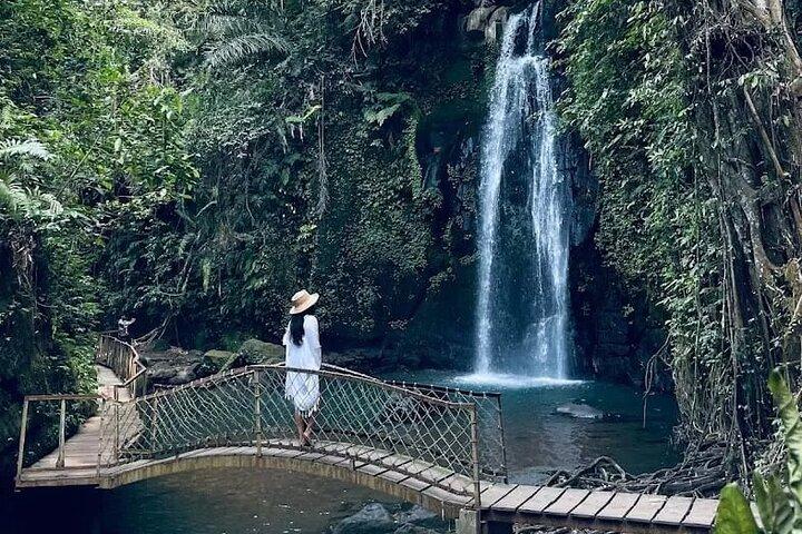 Visite guidée privée : le meilleur d'Ubud avec Jungle Swing