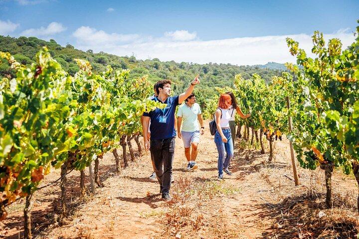 Tagesausflug nach Arrabida und Sesimbra in kleiner Gruppe von Lissabon mit Weinprobe