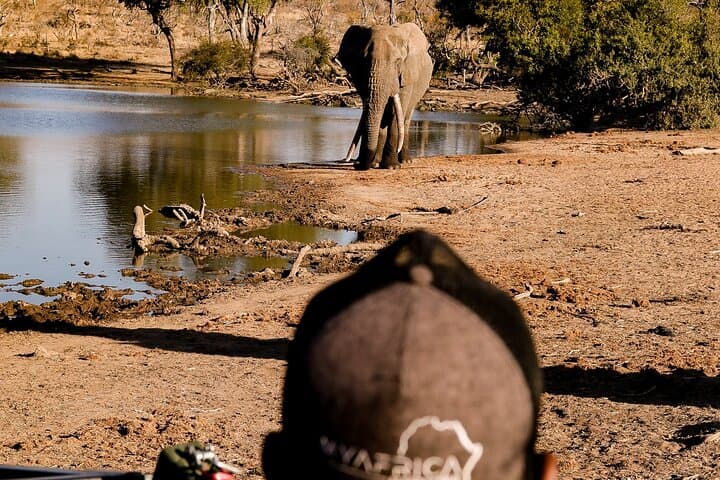 Remarkable Big 5 Sunrise Safari in Hoedspruit