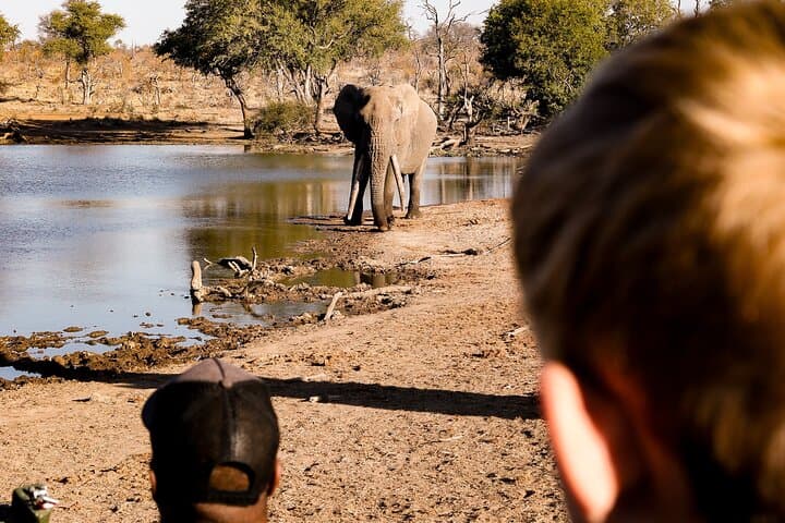 Remarkable Big 5 Sunrise Safari in Hoedspruit