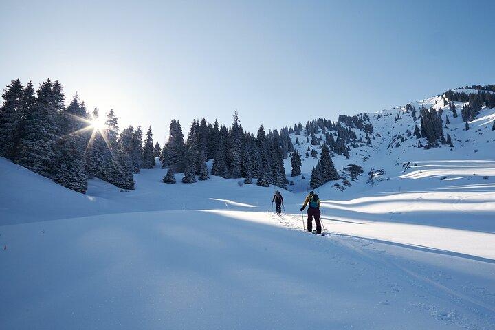 1-day Backcountry Tour