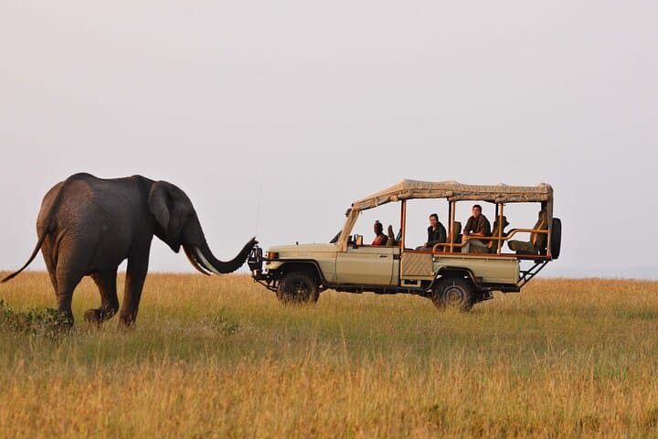 Top Rated 3 Day Masai Mara Safari – Game Drives and Scenic Views