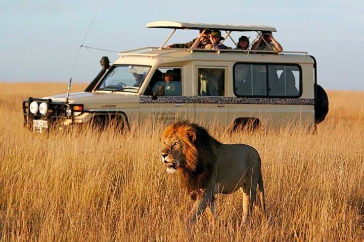 Top Rated 3 Day Masai Mara Safari – Game Drives and Scenic Views