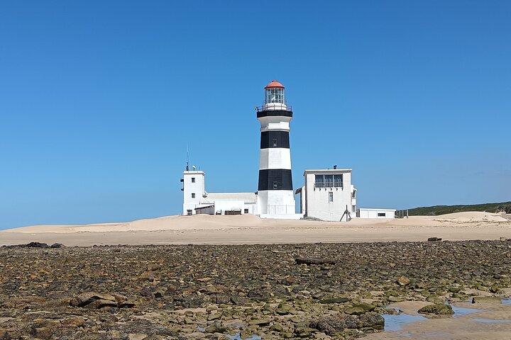 Guided Port Elizabeth Coastal Tour
