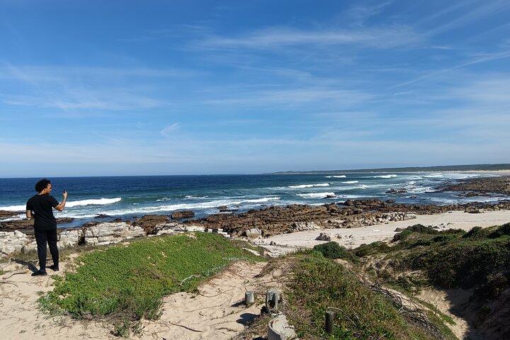 Guided Port Elizabeth Coastal Tour