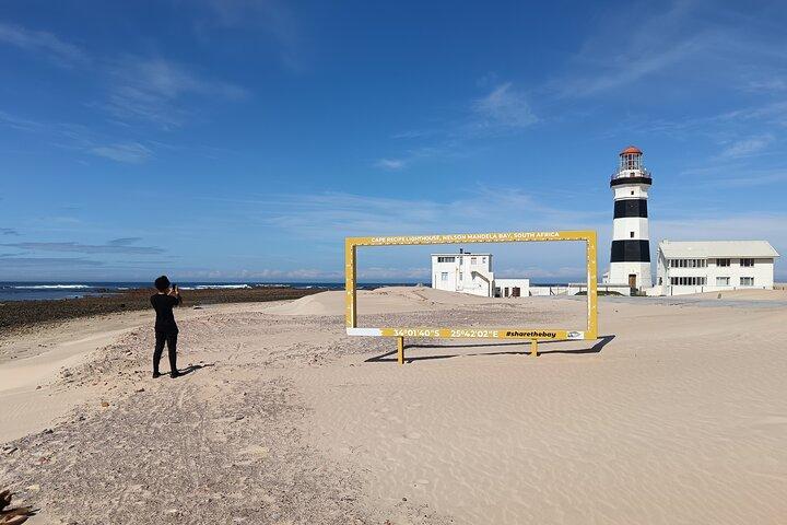 Guided Port Elizabeth Coastal Tour