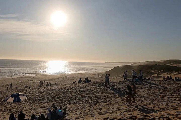 Rejser til Port Elizabeth Coast