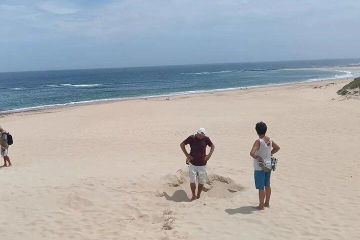 Rejser til Port Elizabeth Coast