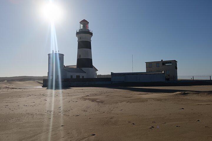 Rejser til Port Elizabeth Coast