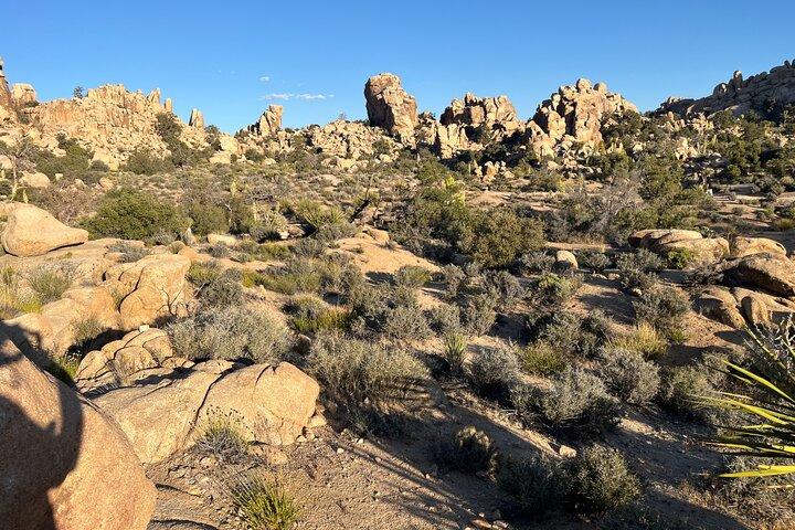 Joshua Tree National Park Sightseeing Adventure Tour