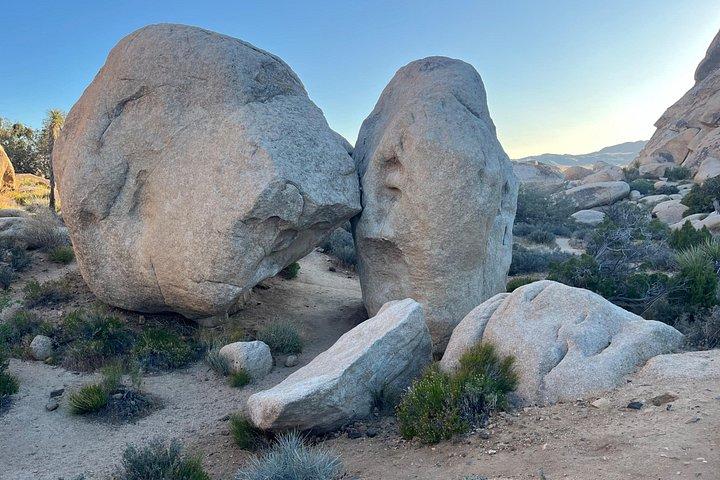 Joshua Tree National Park Sightseeing Adventure Tour