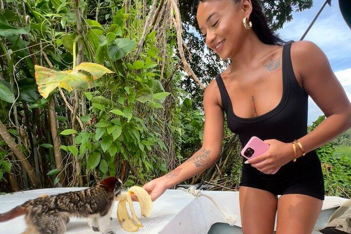 Panamakanal : Gatun Lake Wildlife Boat Tour