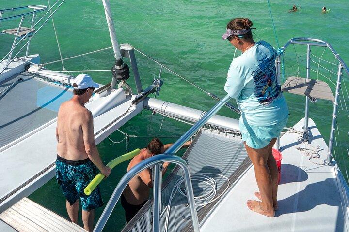 Champagne Dolphin Sail och Reef Snorkel