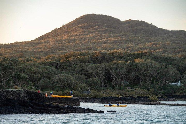 オークランド：ランギトト島日帰りシーカヤックツアー