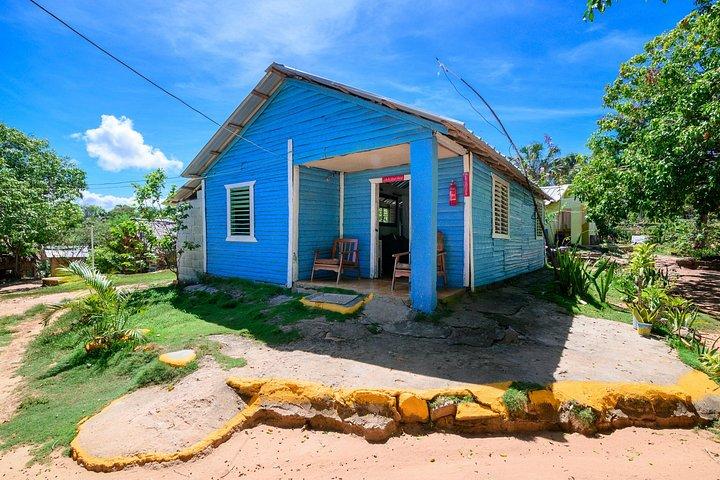 Private Puerto Plata Village Tour & Interactive Cooking Demo