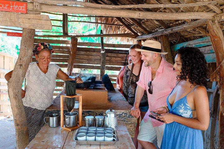 Private Puerto Plata Village Tour & Interactive Cooking Demo