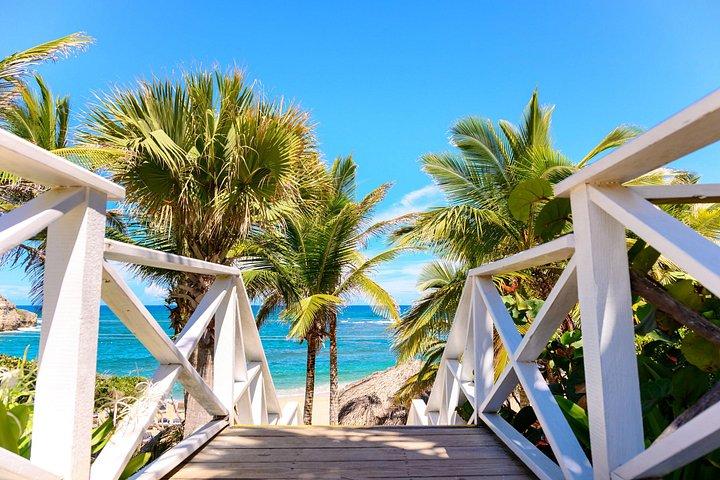 Private Puerto Plata Village Tour & Interactive Cooking Demo