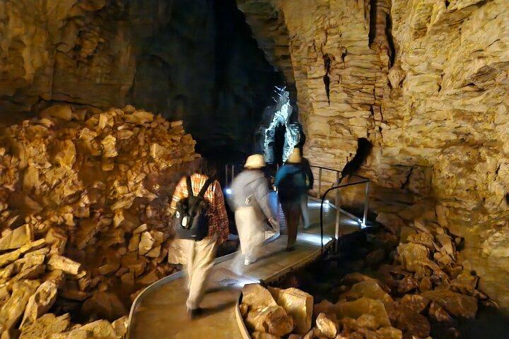 Waitomo Spellbound Glowworm Caves Kleingruppentour ab Auckland