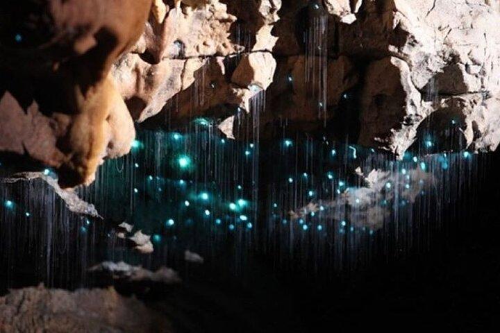 Waitomo Spellbound Glowworm Caves Kleingruppentour ab Auckland