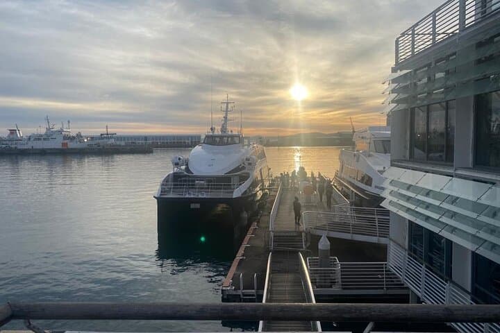 Robben Island Tour with Hotel Pickup