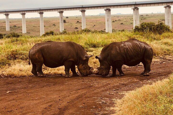 Pirschfahrt im Nairobi-Nationalpark