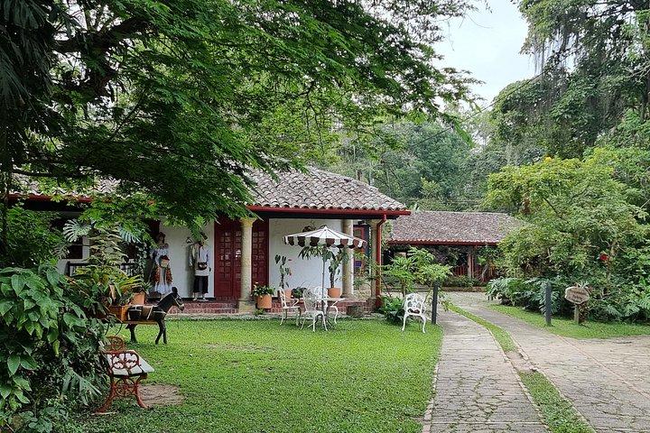 Exclusive Coffee Experience:Tour from Bogotá