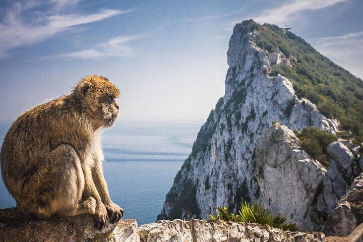 Rondleiding vanuit Sevilla Ontdek Gibraltar