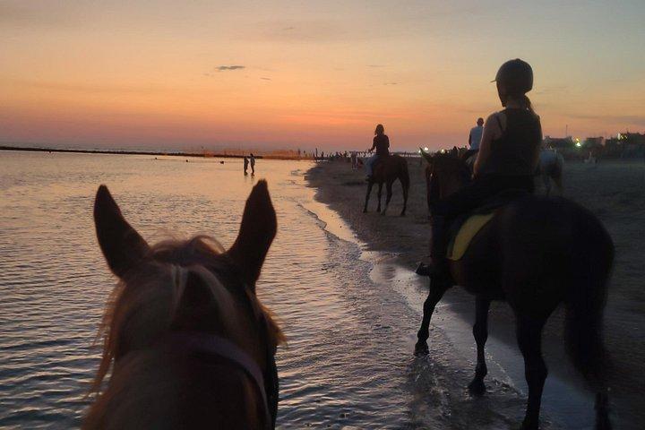 ローマ: 食前酒でビーチを乗馬