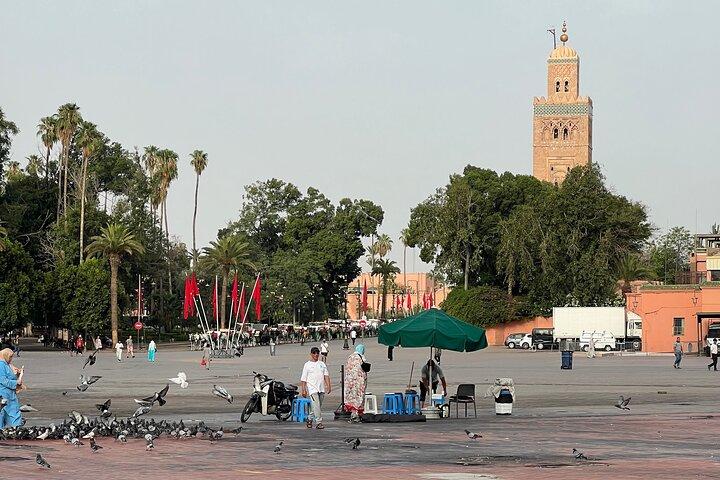 Marrakech Shopping Tour and Night Life