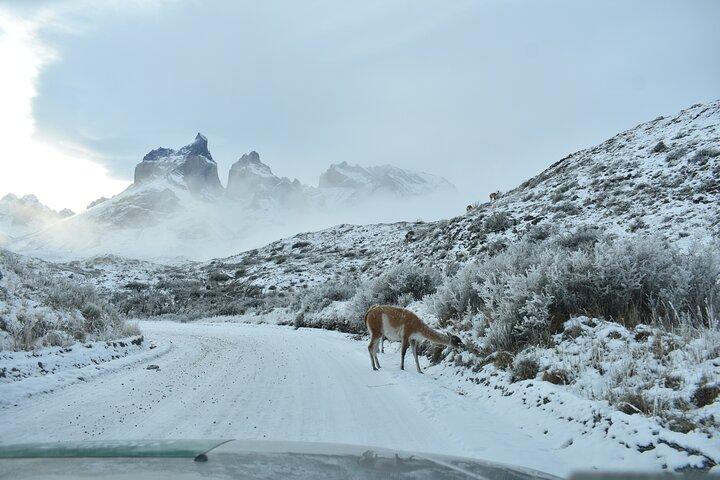 ERLEBEN SIE den Winter in Torres del Paine / 4 Nächte und 3 Tage.