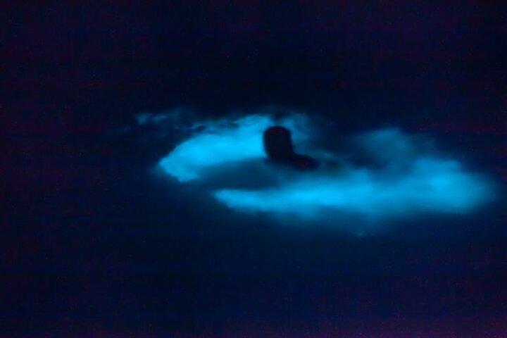 Bioluminiscens og solnedgangsbådtur til Los Arcos-reservatet