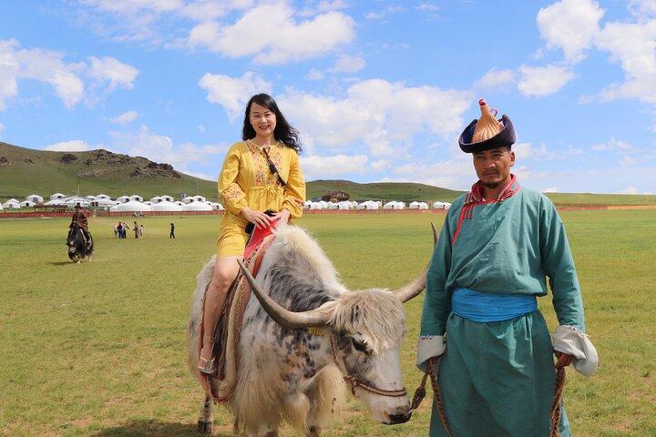 Excursion privée d'une journée au parc national Mongol Nomadic & Khustai