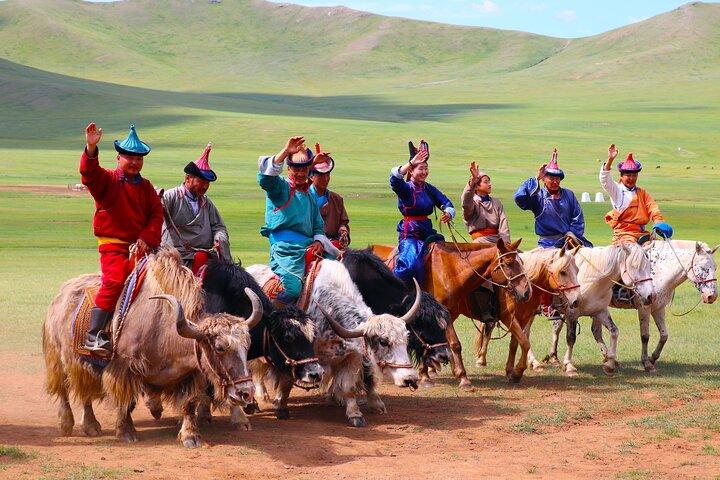 Excursion privée d'une journée au parc national Mongol Nomadic & Khustai