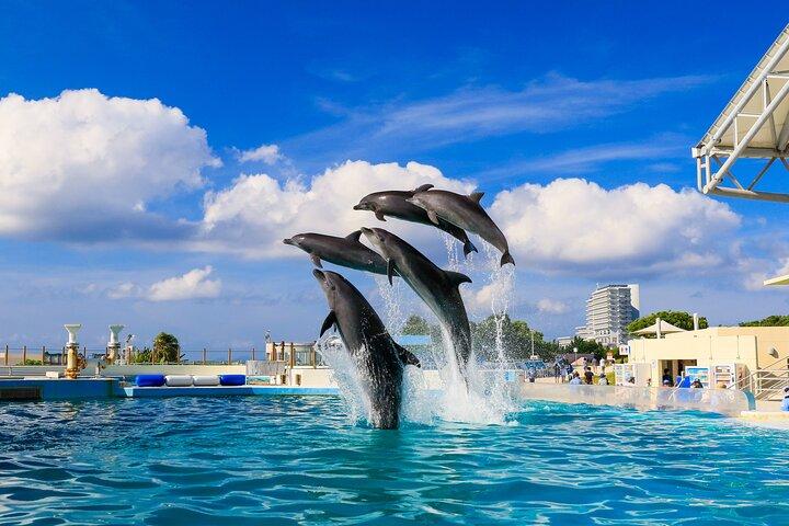 Okinawa HIP-HOP BUS B-1 Course Tour (Okinawa Churaumi Aquarium)