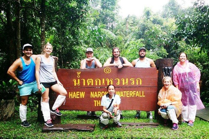 Fra Bangkok: Hoteller i nærheden af Khao Yai Waterfalls Day Trip