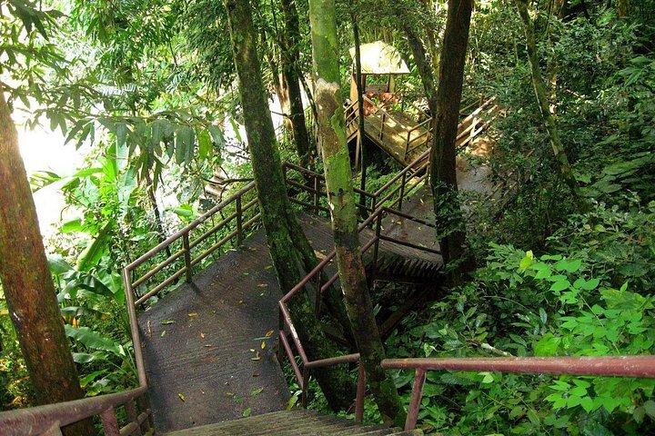 バンコクからの場合： カオヤイの壮大な滝日帰りツアー