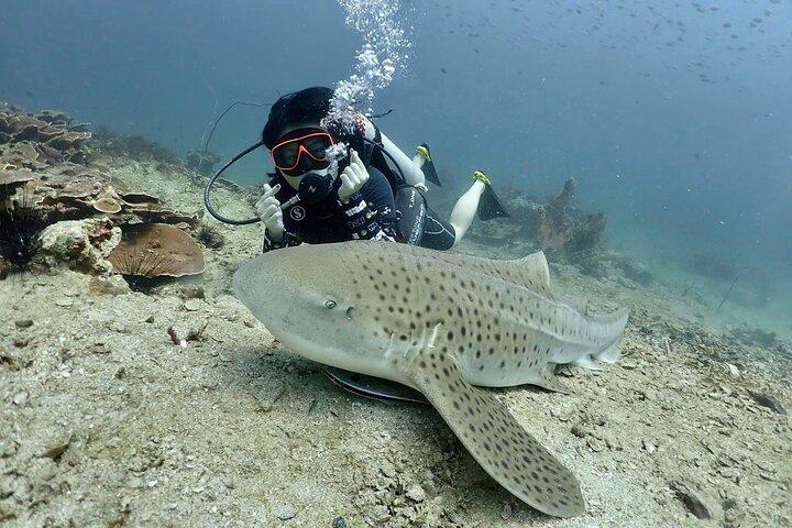 Phuket Scuba Diving Adventure for All Levels with Transfer