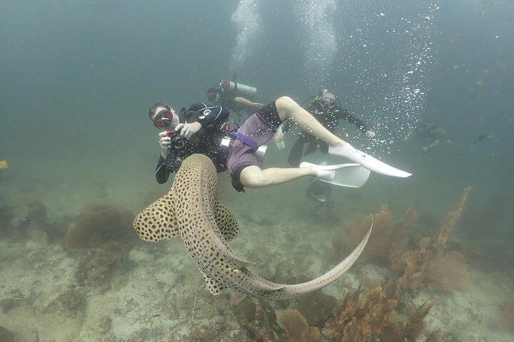 Phuket Scuba Diving Adventure for All Levels with Transfer