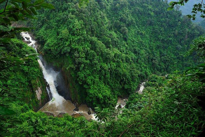 Fra Bangkok: Hoteller i nærheden af Khao Yai Waterfalls Day Trip