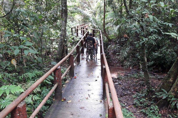 Fra Bangkok: Hoteller i nærheden af Khao Yai Waterfalls Day Trip