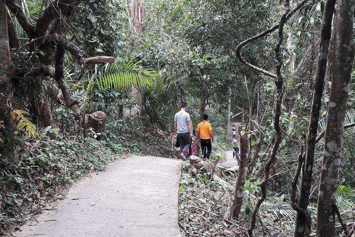 Fra Bangkok: Hoteller i nærheden af Khao Yai Waterfalls Day Trip