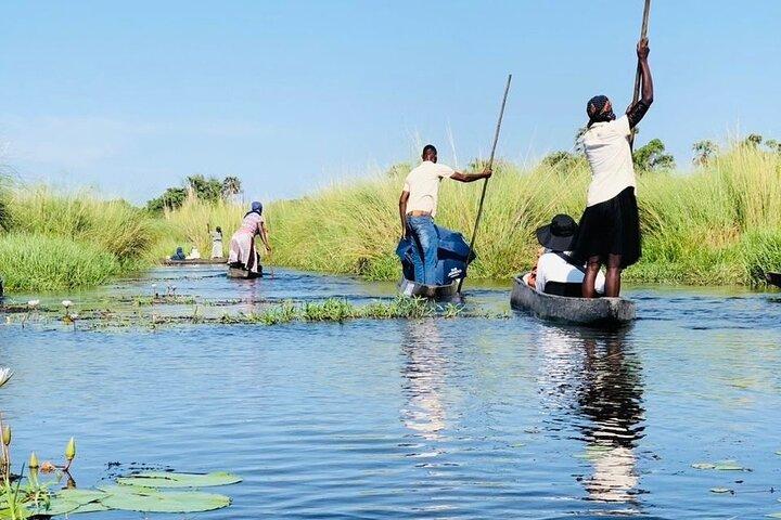 Overnight Mokoro Experience in the Okavango Delta