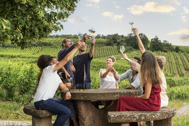 Private Discovery Viagem ao vinho da Alsácia a partir de Estrasburgo e região
