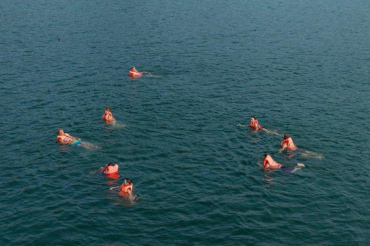 ハノイ：人気のラグジュアリーデイクルーズ、ランチ付きランハ湾観光