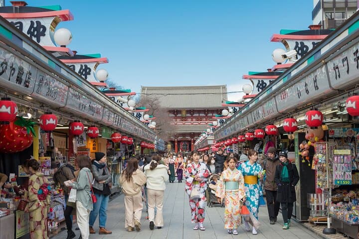 Tokyo Small Group Tour with Guide