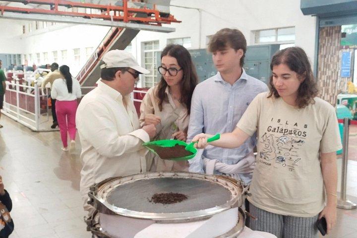 ムンナール1日茶園小旅行、無料送迎。