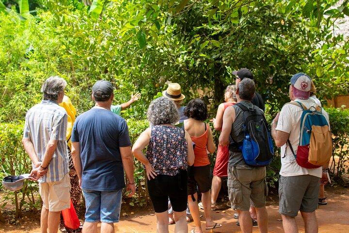 Kruidentour en kookcursus op Zanzibar